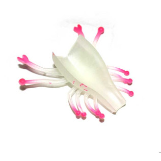 CORAL MAGIC FEET