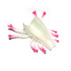 CORAL MAGIC FEET