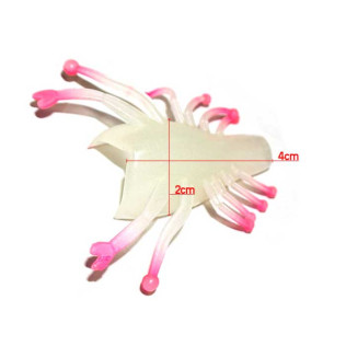 CORAL MAGIC FEET