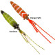 FIIISH CANDY SHRIMP 30gr