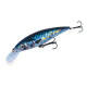 DTD REALISTIC FISH 100