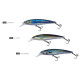 DTD REALISTIC FISH 100