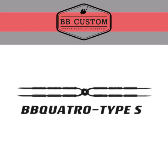 BB QUATTRO TYPE S