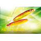 BOZLES TG IEYASU 30gr
