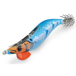 DTD X EGI 3.0