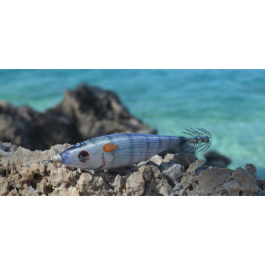 DTD BALLISTIC REAL FISH 3.0B