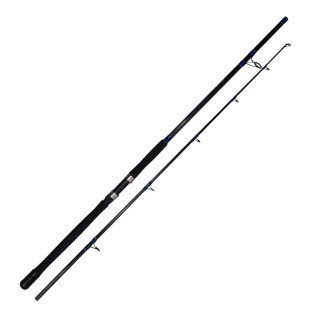 CORAL BIG FISH 702