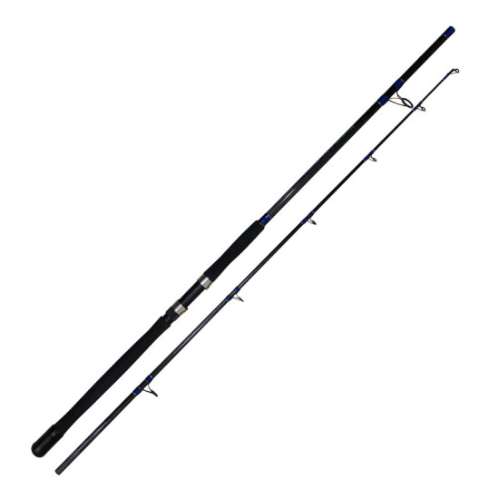CORAL BIG FISH 802