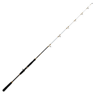 CORAL JIGGER 1802 B  40-150gr