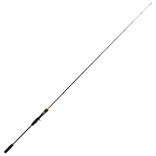 CORAL POLARIS TAI RUBBER
