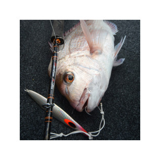 FCL LABO SF.S 200gr