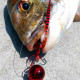 BOZLES TG DROP-K 120gr