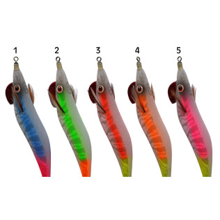 DTD SPECIAL OITA 2.0