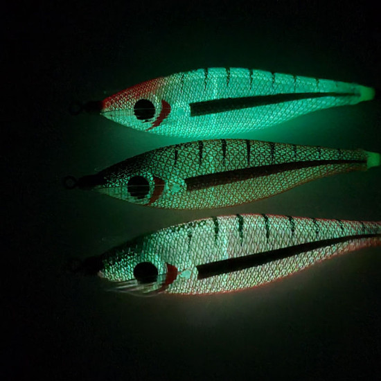 DTD NANO 2.0