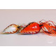 SHIMANO LUCANUS 200gr