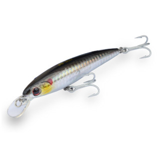 DTD SKUSA 100 HOLOGRAM