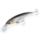 DTD SKUSA 100 HOLOGRAM