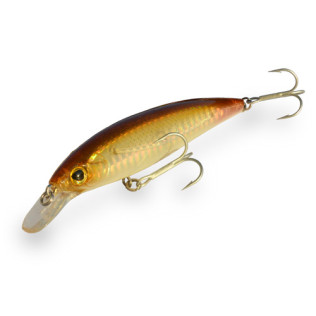 DTD GIRA 120