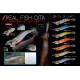 DTD REAL FISH OITA #2.5