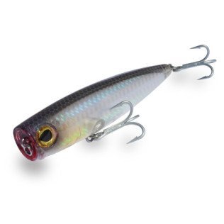 DTD POPPER