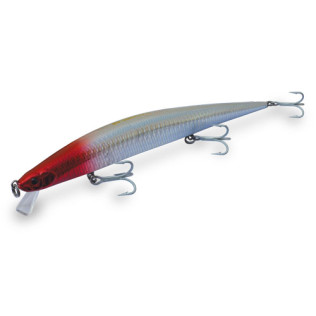DTD BARRACUDA 175
