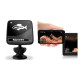 RAYMARINE DRAGONFLY 5PRO