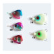 CORAL CSF07-05T-60