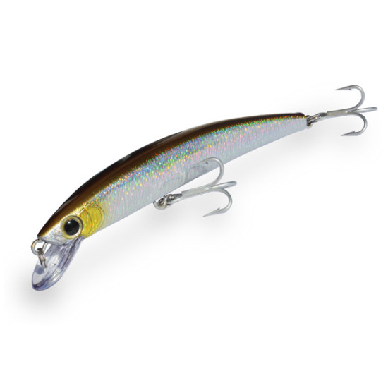 DTD SARDINA 110