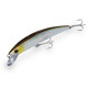 DTD SARDINA 110
