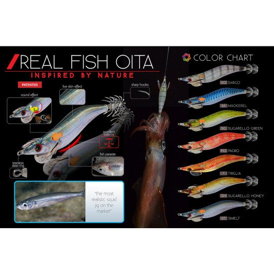 DTD REAL FISH OITA #4.0