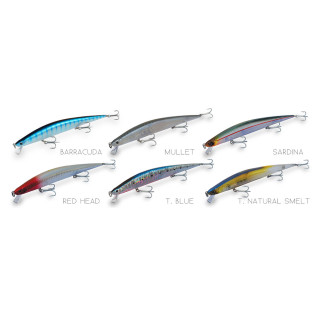 DTD BARRACUDA 175