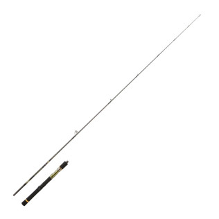 DAIWA CROSSCAST SPIN 