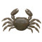 MARUKYU CRAB #M
